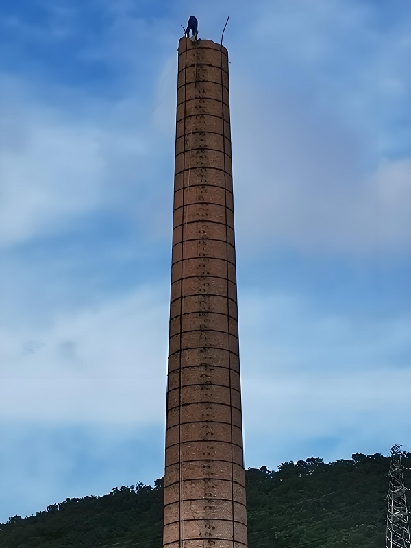 92f69067-a475-4404-855d-246481818133.jpg